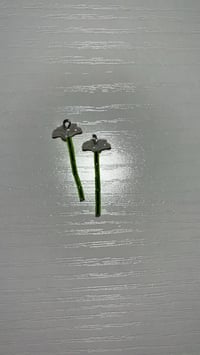 Image 4 of Flower Bouquet