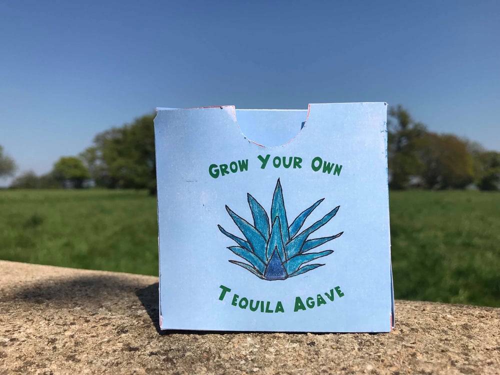 Image of Grow Your Own: Tequila Agave