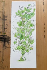 Image 1 of Aristotle - Artwork