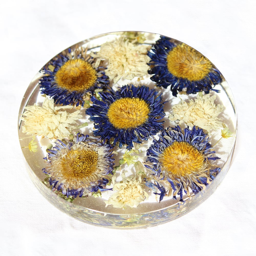 Image of Blue Flower Coaster