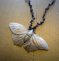 Image 1 of Moth necklace by Swallow