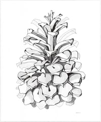 Pinecone Premium Giclee Print 8"x10"