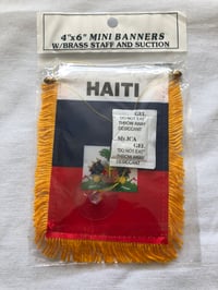 HAITI FLAG MINI BANNER