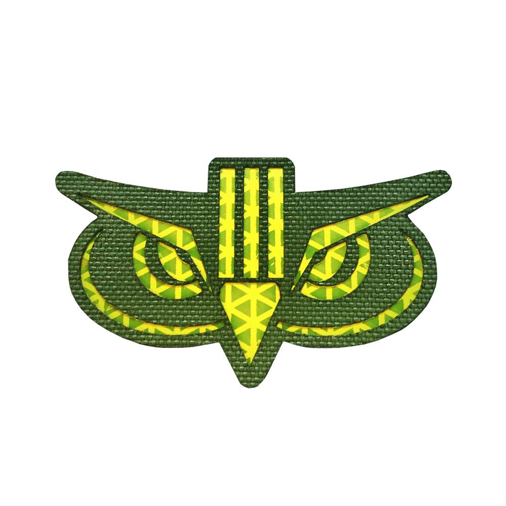 Image of SC[0]UT OWL PATCH - BORDER PATROL EDITION