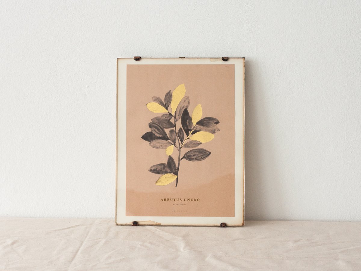 Image of Arbutus Unedo - strawberry tree