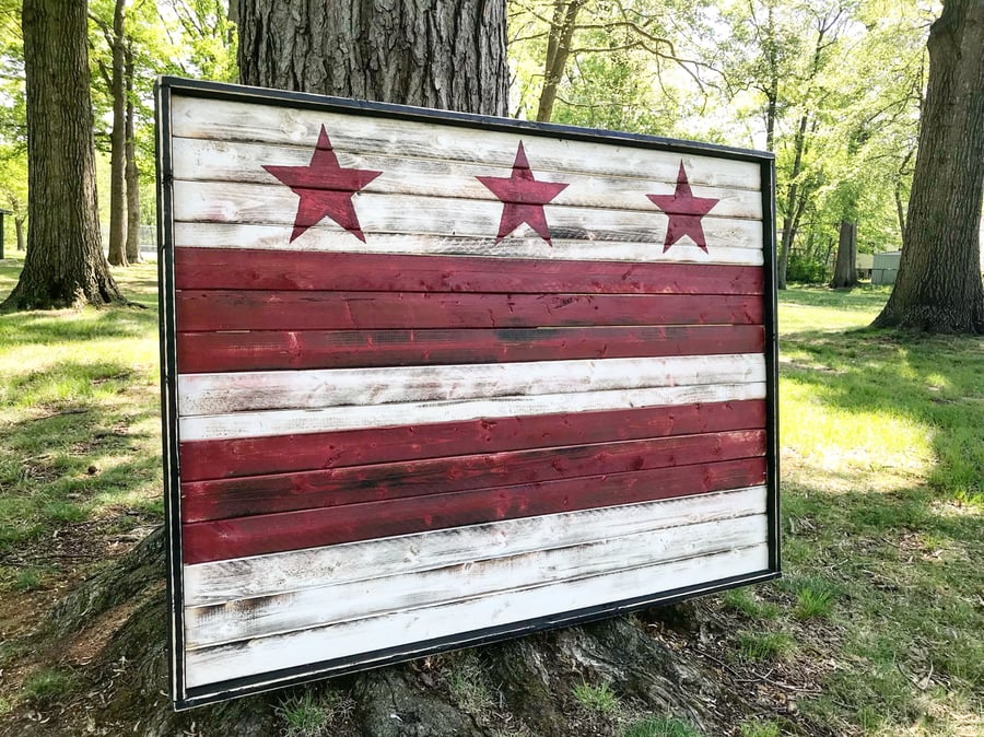 Image of Large Washington DC Flag