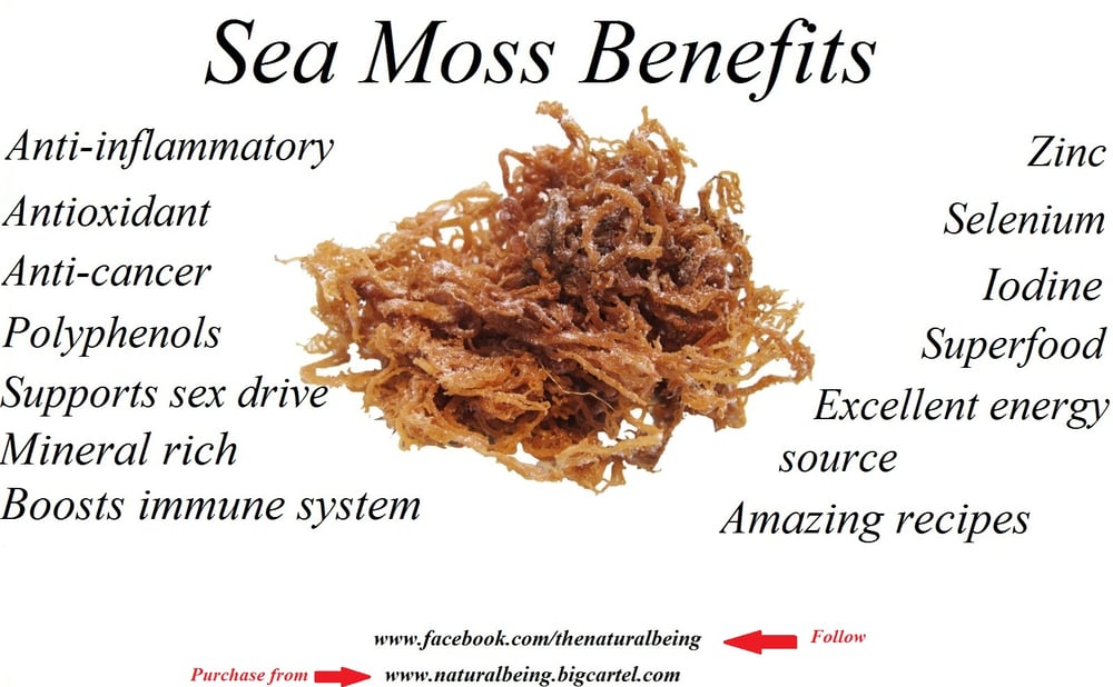 4 lbs Sea Moss | Natural Being