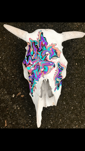 Image of Hand painted cow skull