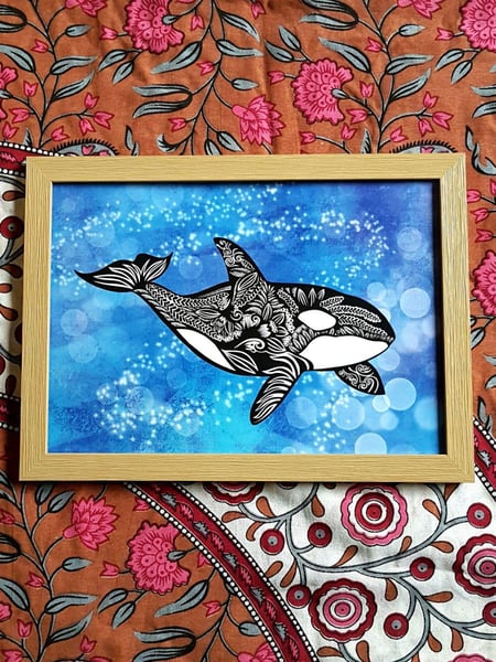 Image of Orca