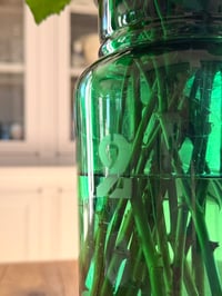 Image 3 of Bocal de pharmacie vert