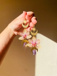 Image 4 of 💛💜Moth Orchid Moon Phase Shaniquas💜💛