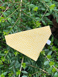 Dachsund Lemon Bandana - Medium 