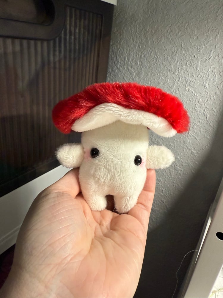Image of claim for shroomie