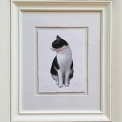 Image of Screenprint cat !