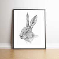 The Hare - Limited Edition handsigned print