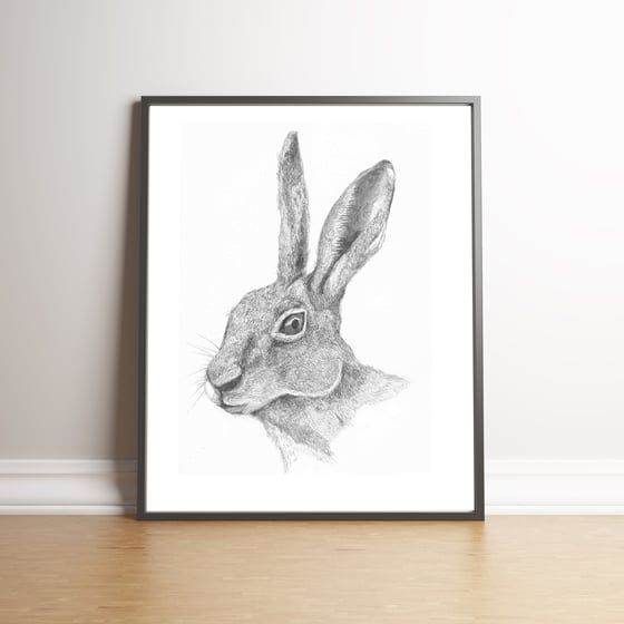 Image of The Hare - Limited Edition handsigned print