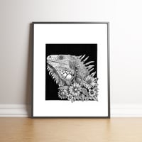 The Iguana - Limited edition handsigned print