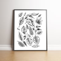 Leaves - limited edition hand signed print