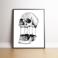 Detached Skull limited edition hand signed print