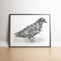 Steampunk Pigeon limited edition hand signed print