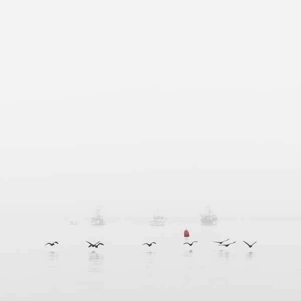 Image of Ferry Beach Fog