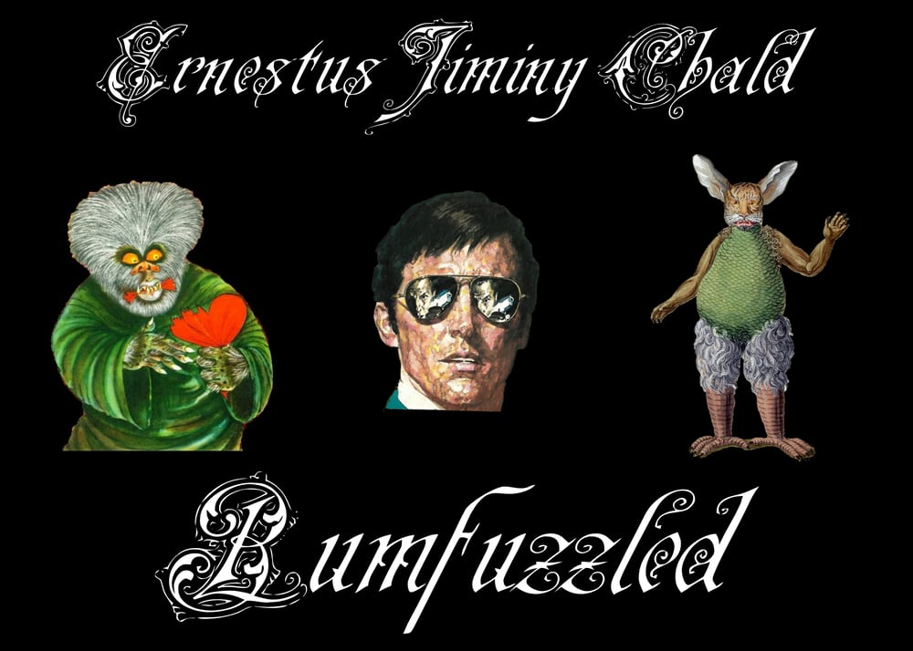 Image of Bumfuzzled (CD)