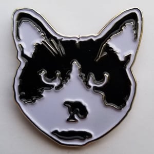 Image of Enamel pin