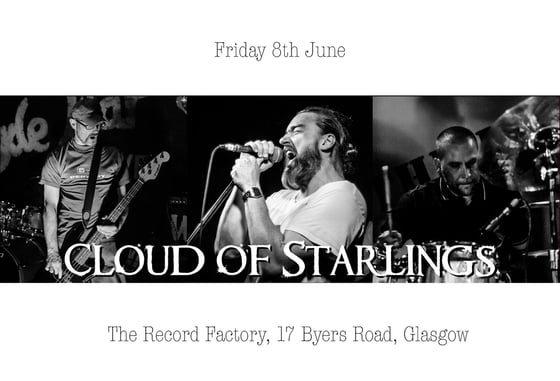 Image of Cloud of Starlings @ The Record Factory
