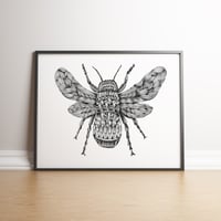 Ornate Bee limited edition handsigned print
