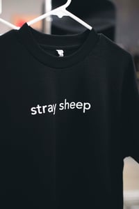 Image 1 of stray_sheep