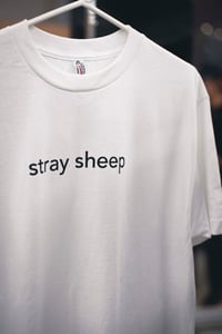 Image 2 of stray_sheep