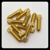 10 BRASS CONTACT SCREW M5 (20 or 25mm)