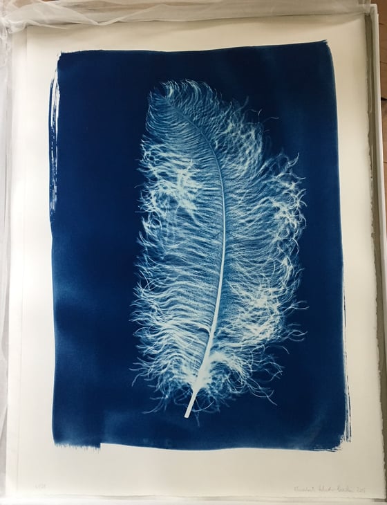 Image of Elisabeth Scheder-Bieschin Feder, 2015, 21/25