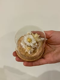Image 1 of Mini Glass Flower Dome - White & Gold