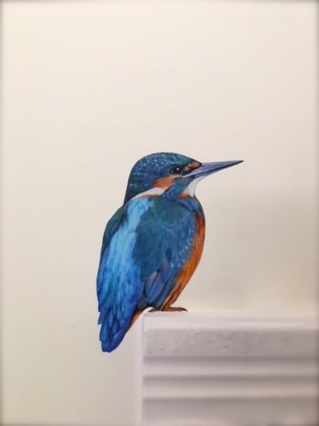 Image of Flash the Kingfisher ~ Wall sticker 