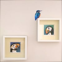 Image 3 of Flash the Kingfisher ~ Removable Wall sticker