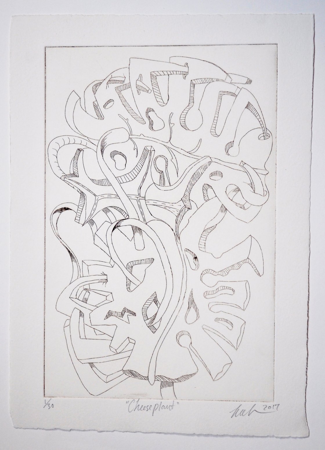 Image of LAWRENCE OWEN, CHEESE PLANT, 2017