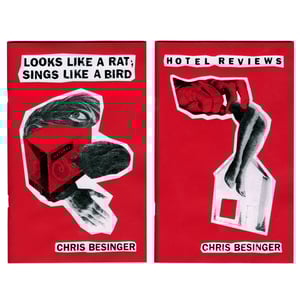 Image of DMTN09 - LOOKS LIKE A RAT; SINGS LIKE A BIRD / HOTEL REVIEWS - DOUBLE SIDED BOOK