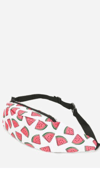 Watermelon Print Fanny Pack