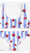 Watermelon Stripe Bikini swimsuit