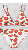 Watermelon 2 Piece Bikini Swimsuit