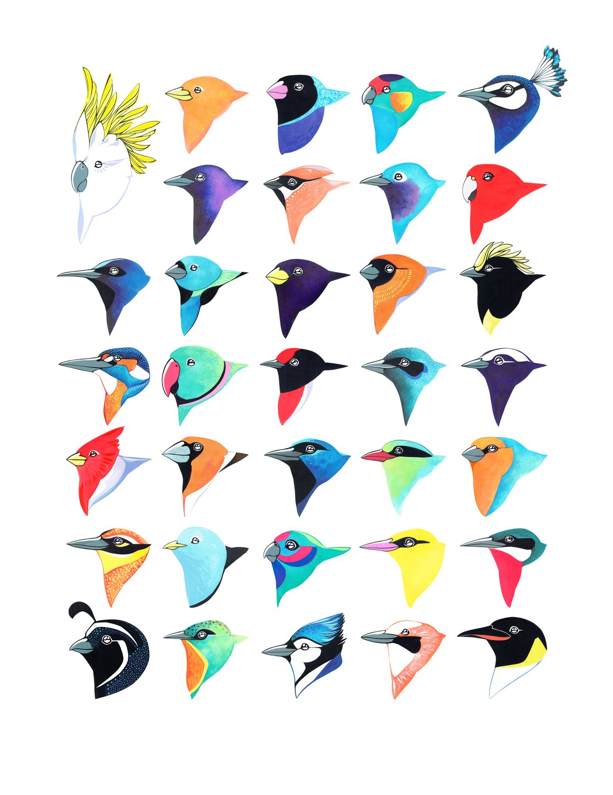 Image of Thirty-Four Birds