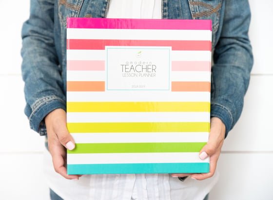 Image of ***Bright Stripes*** A Modern Teacher Lesson Planning BINDER