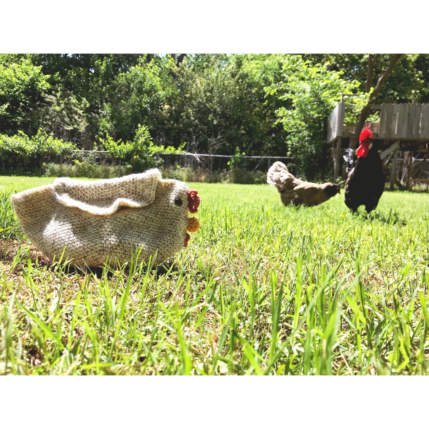 Image of Cluck Cluck Clutch