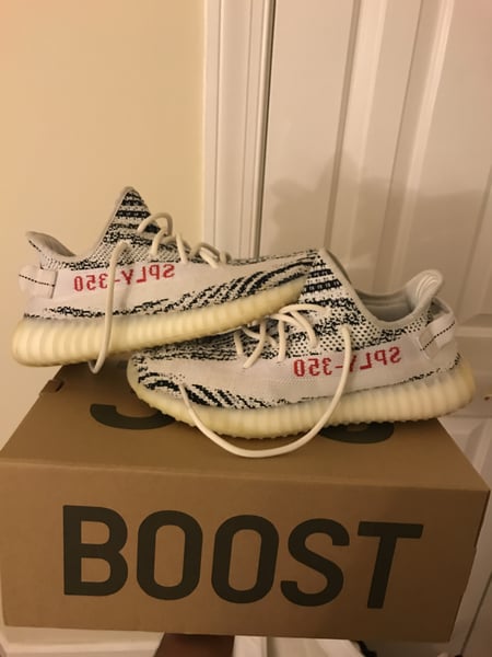 Image of Yeezy Zebra Size 9 (Used)