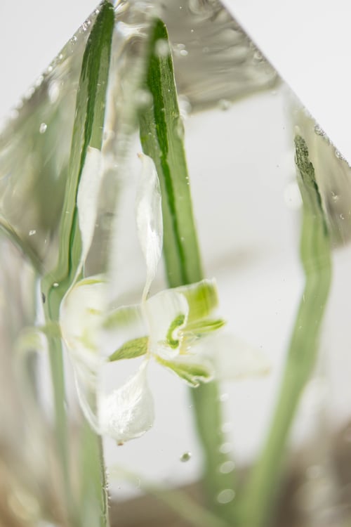 Image of Snowdrop (Galanthus nivalis) - Floral Desk Light #2
