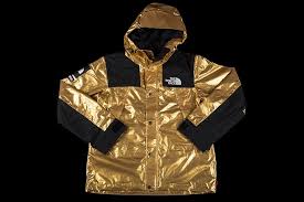 Supreme the north face sales metallic mountain parka gold