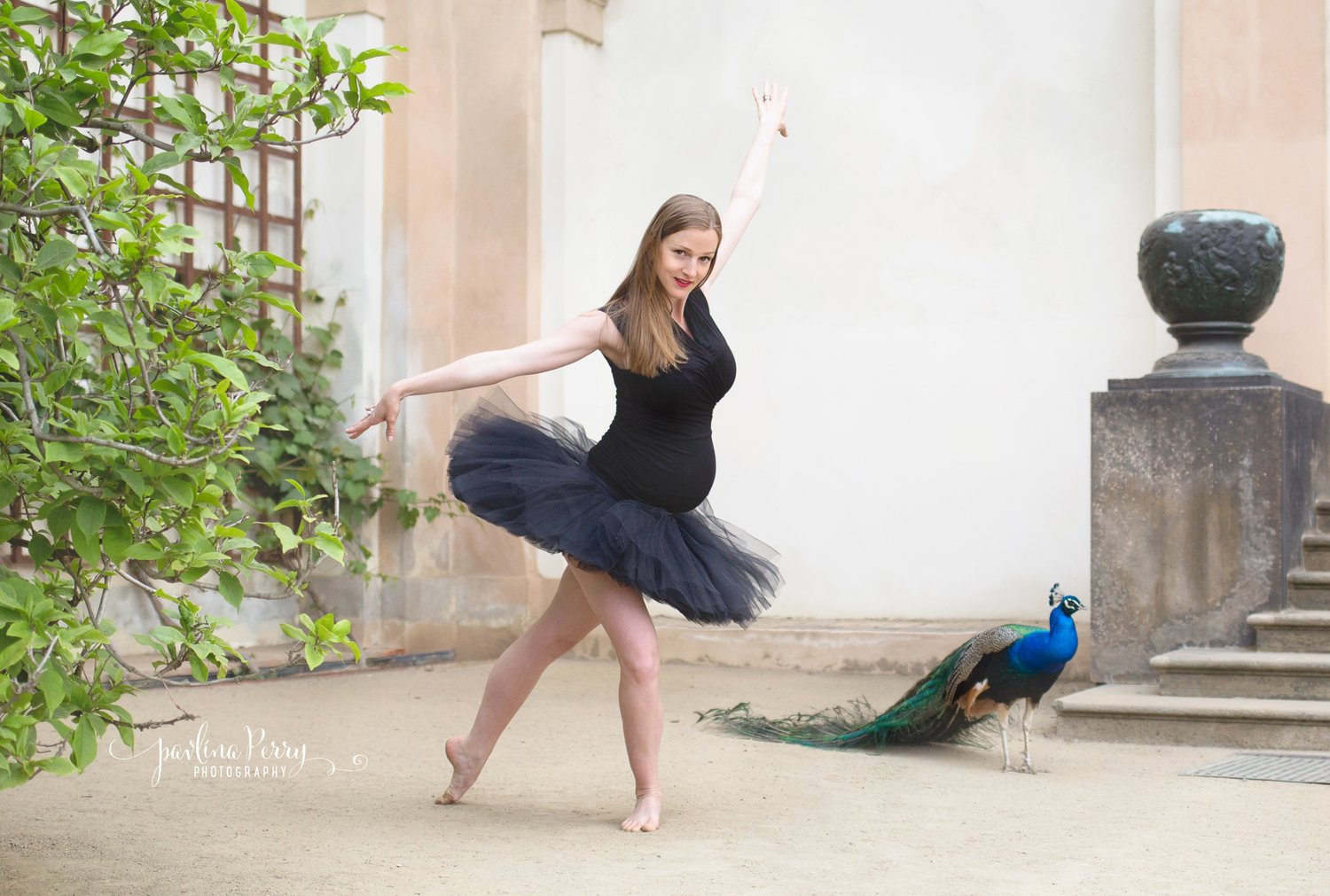 Image of Maternity Session