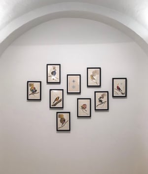 Image of El Gato Chimney - Untitled 6