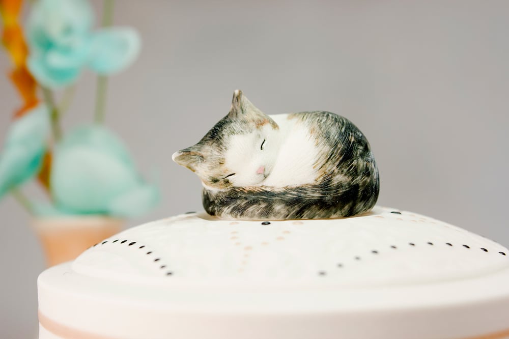 Image of Maine Coon, Persian, Ragdoll Cat Custom Pet Urn